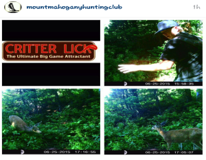 Mount Mahogany hunting club review