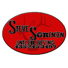 Steve Sorensen Antler Buying critter lick best deer attractant
